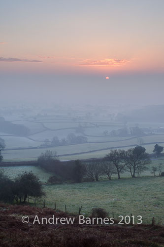 Morning Mist over Marshwood Vale